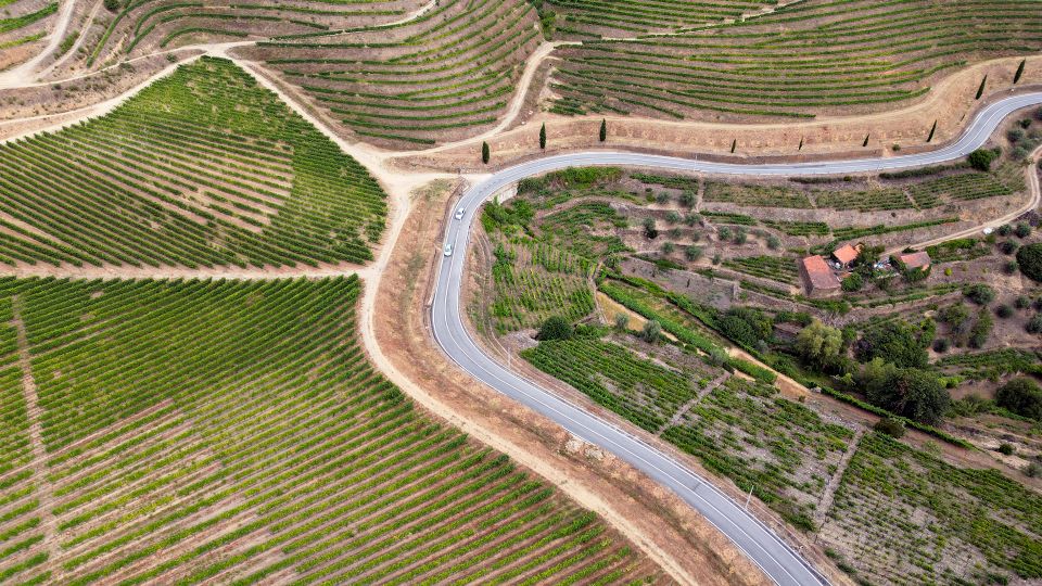 Porto: Douro Valley Tour with 3 vineyards and lunch. - Price and value: what you’re paying for at $147