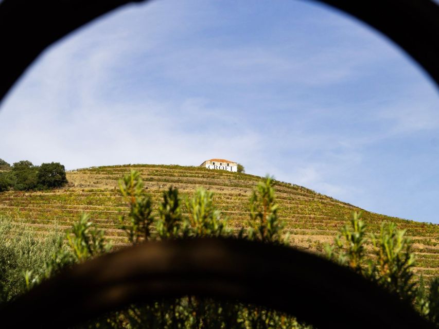 Porto: Douro Valley Tour with 3 vineyards and lunch. - A second Sabrosa stop: three estates without feeling rushed