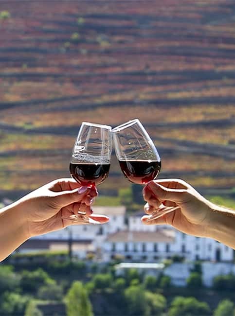 Porto: Douro Valley Tour with 3 vineyards and lunch. - Olive oil tasting: the smart add-on most people skip