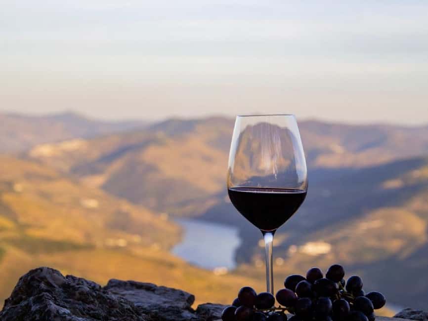 Porto: Douro Valley Tour with 3 vineyards and lunch. - Views and timing: how to get the most without burning out