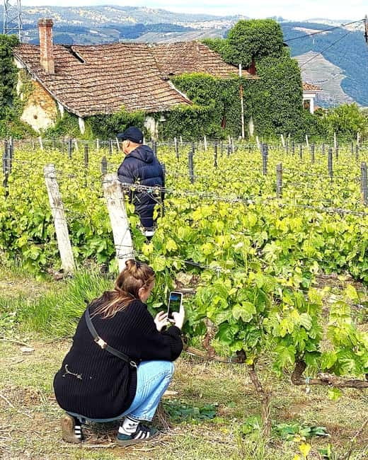 Porto: Douro Valley Tour with 3 Wineries and Lunch - Should you book the Porto to Douro Valley 3-winery tour with lunch?