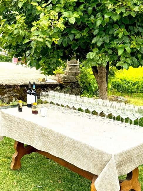 Porto: Douro Valley Tour with 3 Wineries and Lunch - First winery stop in the Pinhão area: your opening taste of the Douro