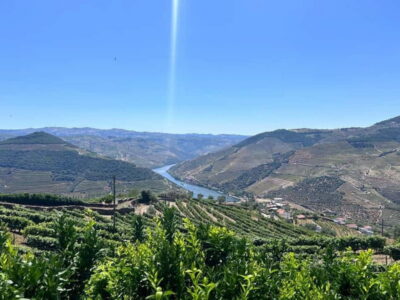 Porto: Douro Valley Tour with 3 Wineries and Lunch - Meeting in Porto: Trindade Metro to the Douro by comfortable van