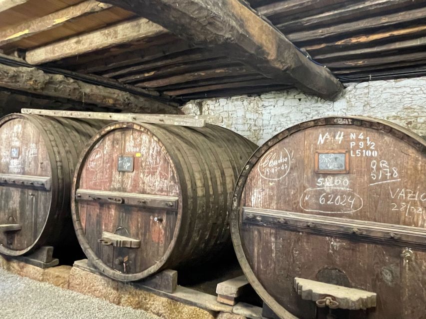Porto: Douro Valley Tour with 3 Wineries and Lunch - The road home: scenic drive, return timing, and what to expect