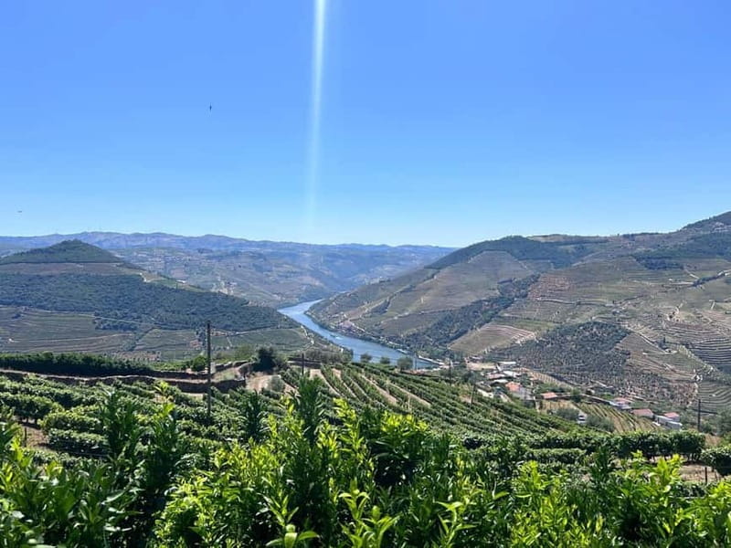 Porto: Douro Valley Tour with 3 Wineries and Lunch - Meeting in Porto: Trindade Metro to the Douro by comfortable van
