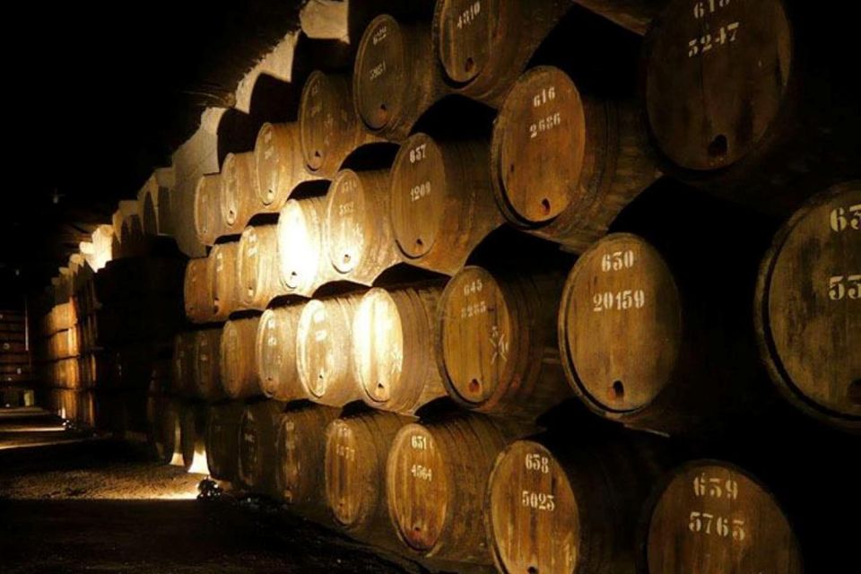 Porto: Douro Valley Wine Tour - Key Things You’ll Actually Want to Know