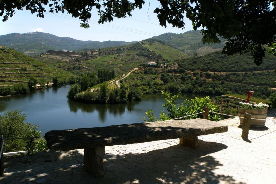 Porto: Douro Valley Wine Tour - A One-Day Douro Plan From Porto: How It Feels in Real Time