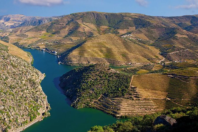 Porto: Douro Valley Wine Tour Including Lunch - Winery visits: what you’ll learn and how the Port focus shapes the tastings