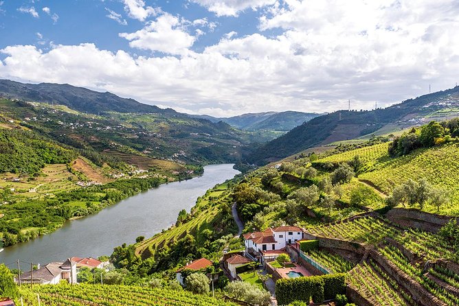 Porto: Douro Valley Wine Tour Including Lunch - National Road 222 and viewpoint pauses: photos without the stress of planning