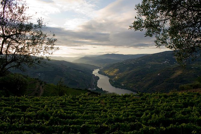 Porto: Douro Valley Wine Tour Including Lunch - Price and value at about $119.73: what you’re really paying for