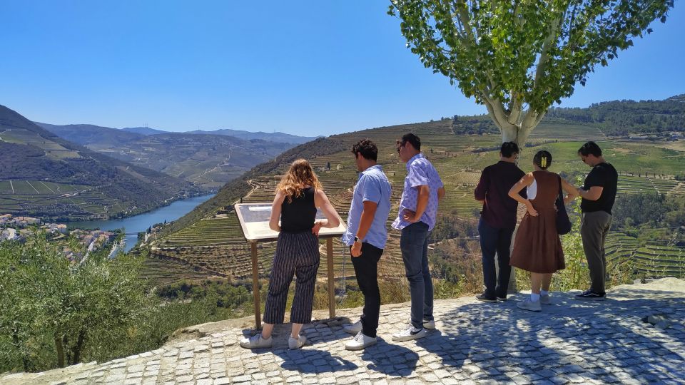 Porto: Douro Valley Wine Tour with Tastings, Boat, and Lunch - Key things that make this Douro day work