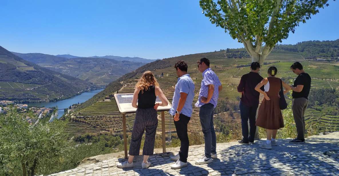 Porto: Douro Valley Wine Tour with Tastings, Boat, and Lunch - Who this Douro tour is best for