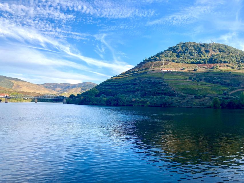 Porto: Douro Valley Wine Tour with Tastings, Boat, and Lunch - Second round of Port tastings: premium pours and Vintage Port