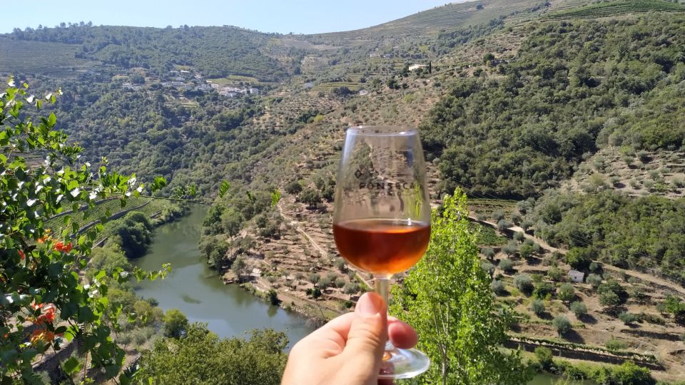 Porto: Douro Valley Wine Tour with Tastings, Boat, and Lunch - Pace, drinking, and how not to feel wrecked