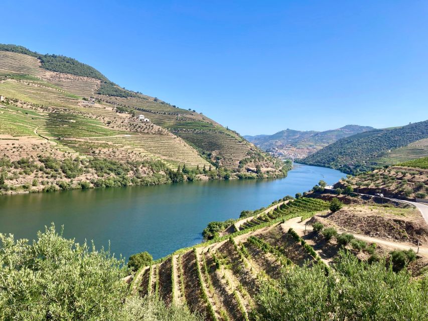 Porto: Douro Valley Wine Tour with Tastings, Boat, and Lunch - Getting there in comfort: AC van, scenic N222, and a coffee pause