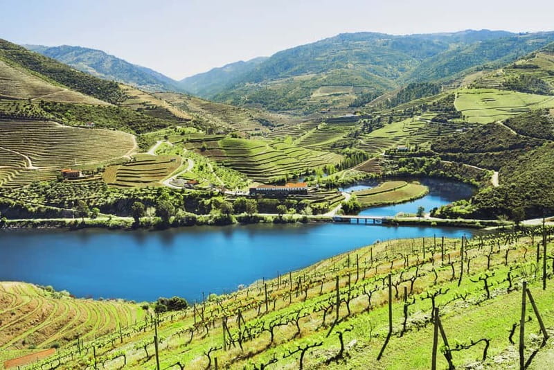 Porto: Douro Wine Tour with Lunch and River Cruise - Porto pickup and the drive along the N222