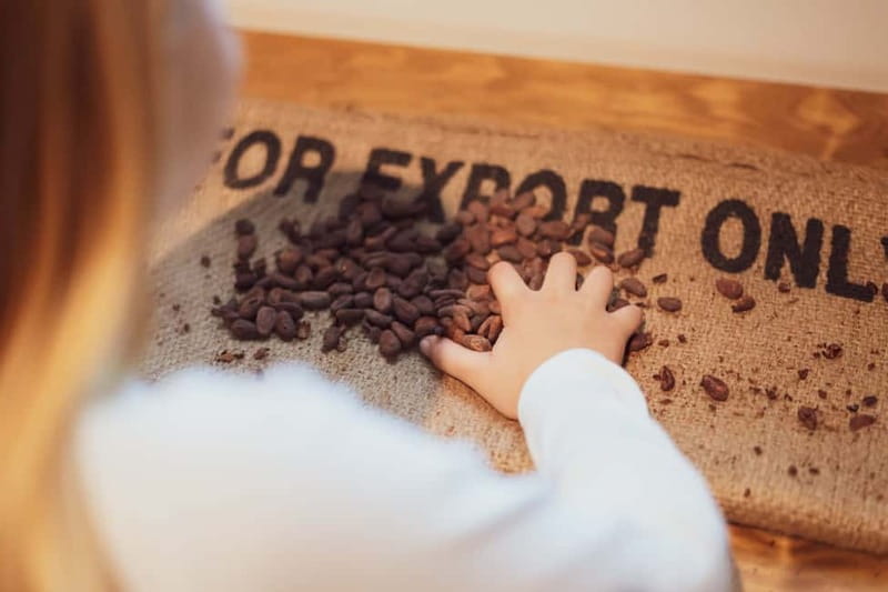 Porto: Entry Ticket at WOW The Chocolate Experience by 20|20 - Hands-on cacao plants and sustainable farming themes