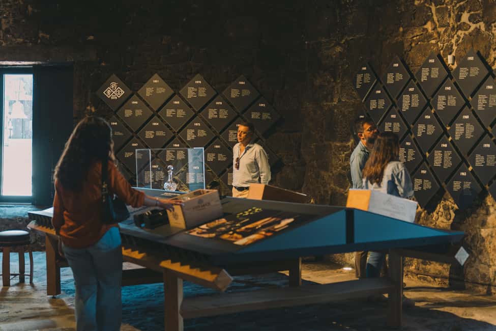 Porto: Fonseca Cellar Tour & WOW Museum Pack - Getting your bearings across the Douro River