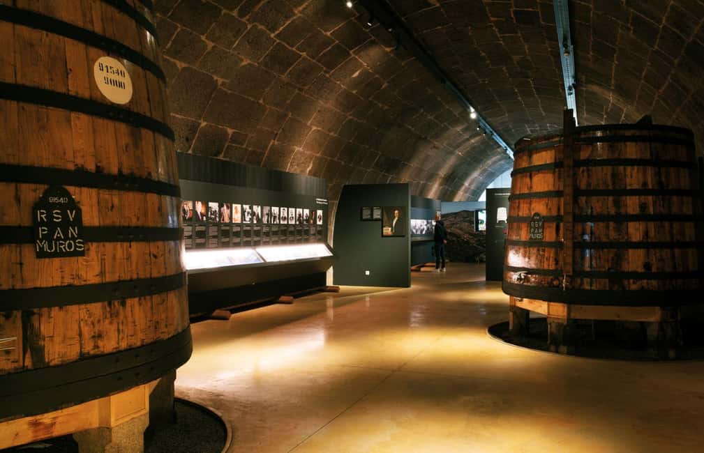 Porto: Fonseca Cellar Tour & WOW Museum Pack - Should you book the Fonseca Cellar Tour & WOW Museum Pack?