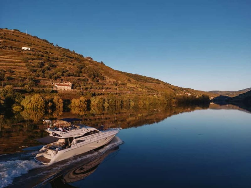 Porto: Full Day Douro River Cruise from Porto to Régua - Price and value for a group of up to 10