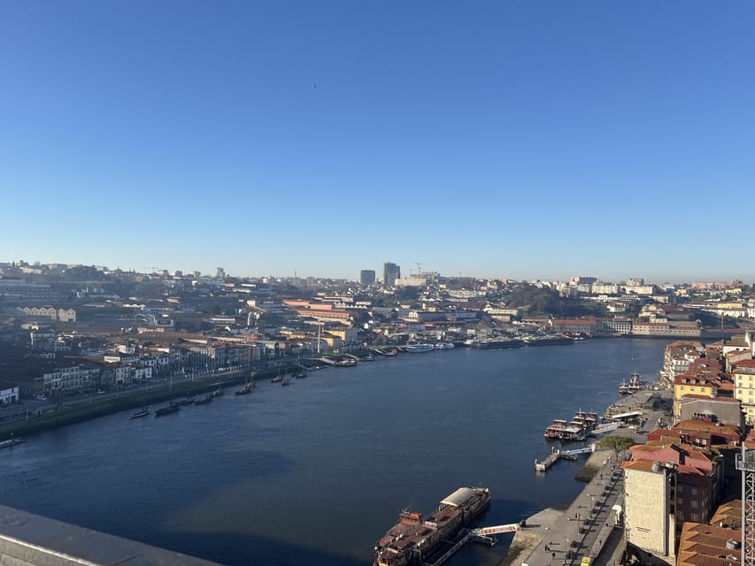 Porto: Guided City Highlights Walking Tour - Liberdade Square and Rua das Flores: Where Porto feels like Porto