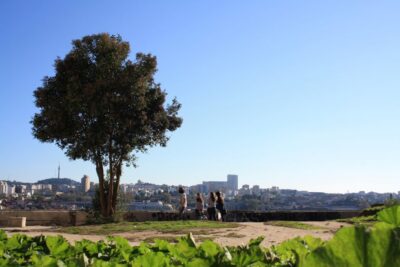 Porto: Half-Day Jewish Tour - Starting at Sé Cathedral: Vimara Peres and a quick orientation