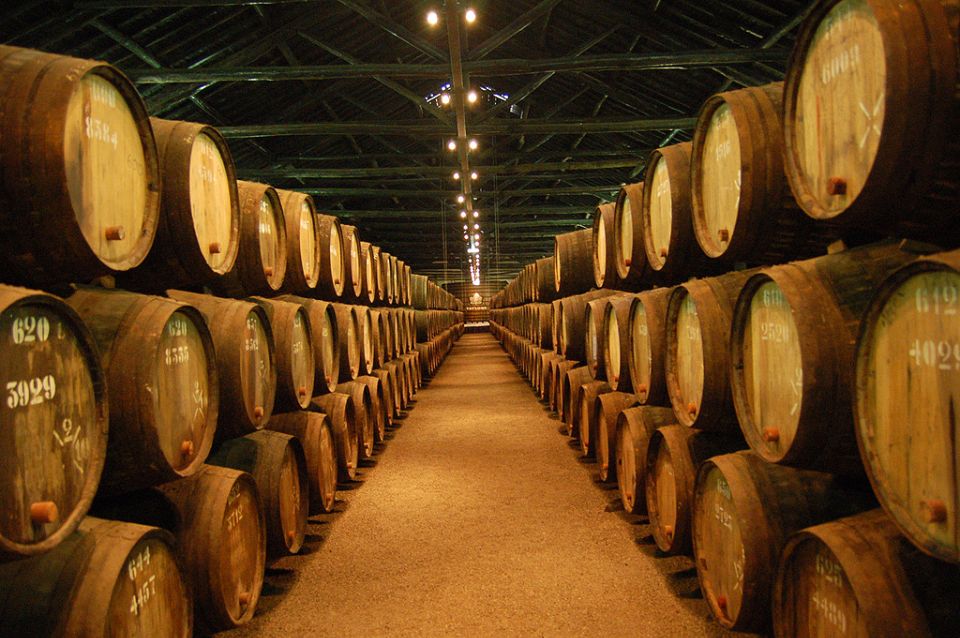 Porto: Half-Day Small Group City Tour with port wine tasting - Livraria Lello and nearby Porto icons