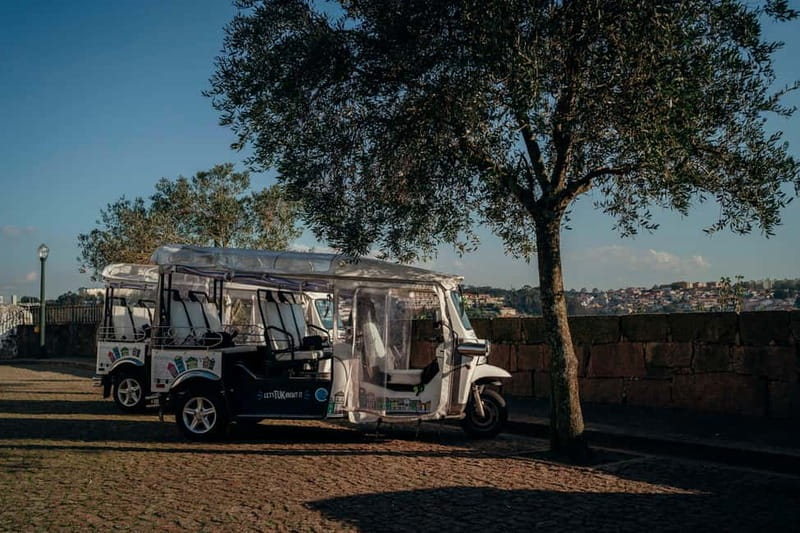 Porto Half Day Tuk Tuk Tour Clérigos, Seaside and Viewpoints - Ponte D. Luís: why its engineering story fits Porto so well