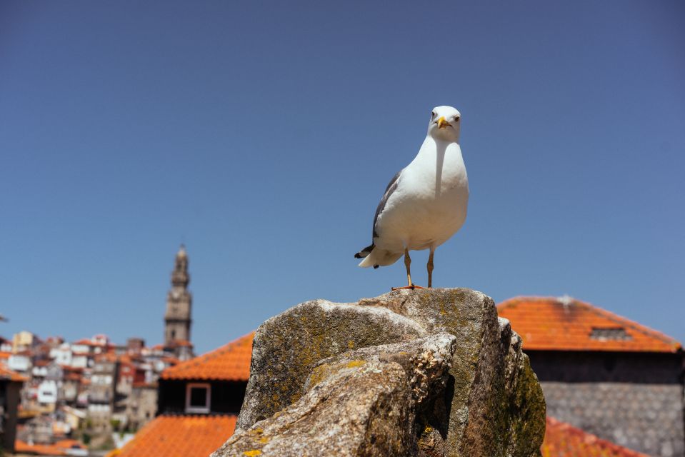 Porto: Harry Potter’s Inspiration Tour - The Café Where the Harry Potter Legend Was Written