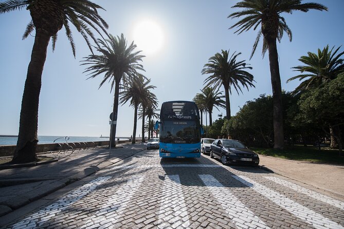 Porto Hop On Hop Off Bus Tour with Wine tasting & Night tour - Panoramic Night Tour: How the 48-Hour Ticket Changes the Game
