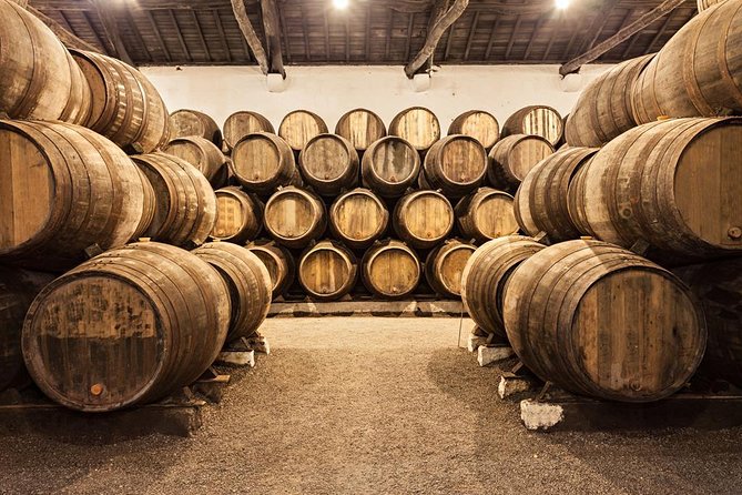 Porto: Morning City Tour with Six Bridges Cruise - A 9:00 am start you’ll actually appreciate in Porto