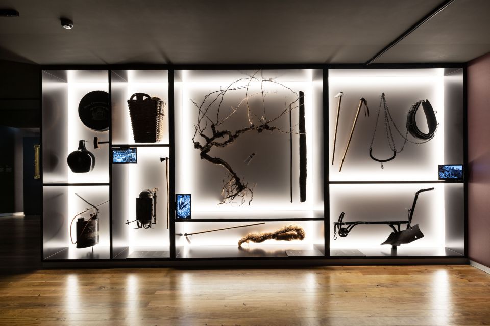 Porto: Museum of the Oldest Appellation in the World Ticket - Should you book the Porto Museum of the Oldest Appellation in the World?