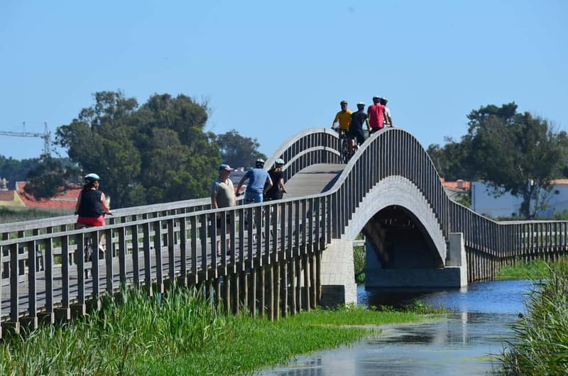 Porto: Porto Bike Atlantic Route - Ovar break and guided tour: a smarter pace reset