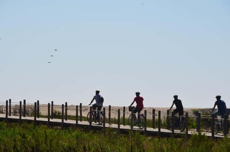 Porto: Porto Bike Atlantic Route - The 45-minute train segment back toward Porto