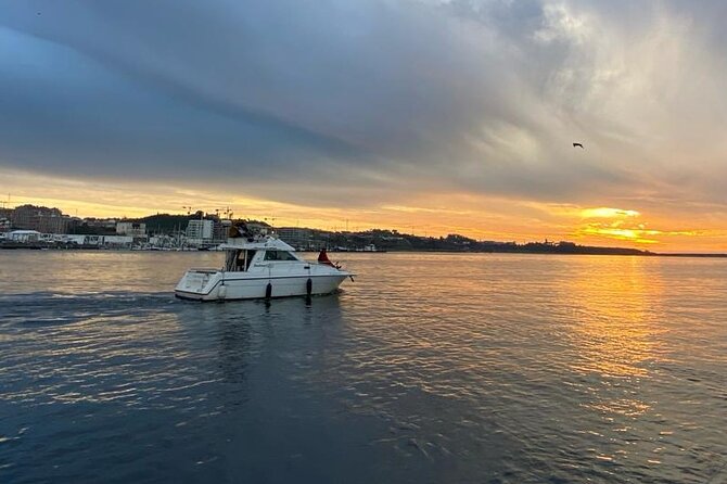 Porto: Private 6 bridges tour, Douro river with sunset option - The Route Logic: How the Boat Ties Together Bridges, Views, and River Scale