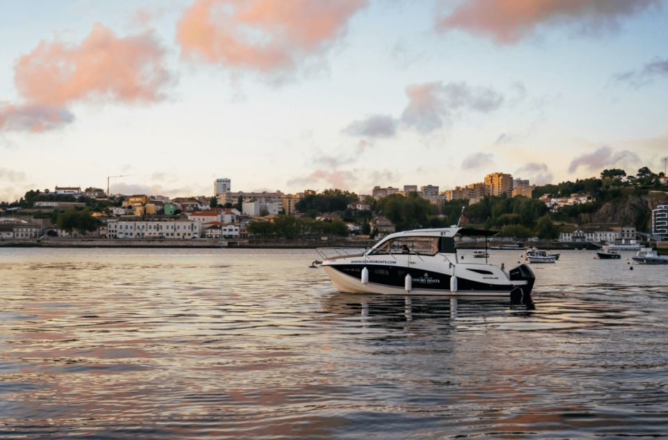 Porto: Private Boat Tour in Douro River - The six bridges of Porto and Gaia: what you’ll actually see