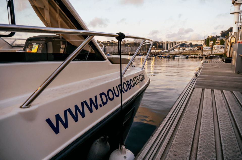 Porto: Private Boat Tour in Douro River - The route: Douro Marina to the estuary nature reserve