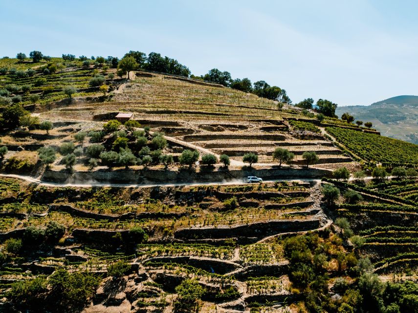 Porto: Private Douro Valley 4x4 Tour with Lunch - The viewpoints drive: where stories and scenery sync up