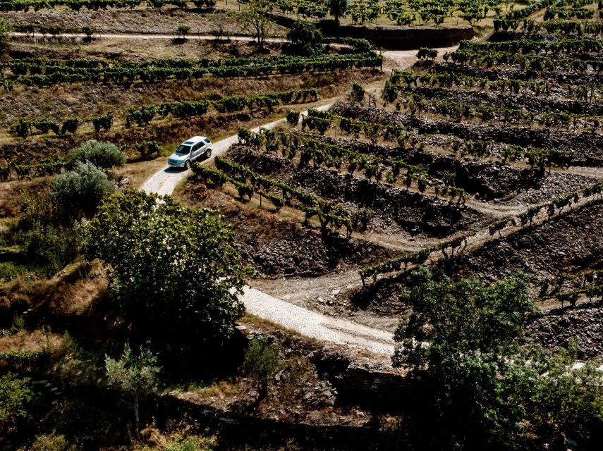 Porto: Private Douro Valley 4x4 Tour with Lunch - Who this Douro day fits best (and who might prefer another style)