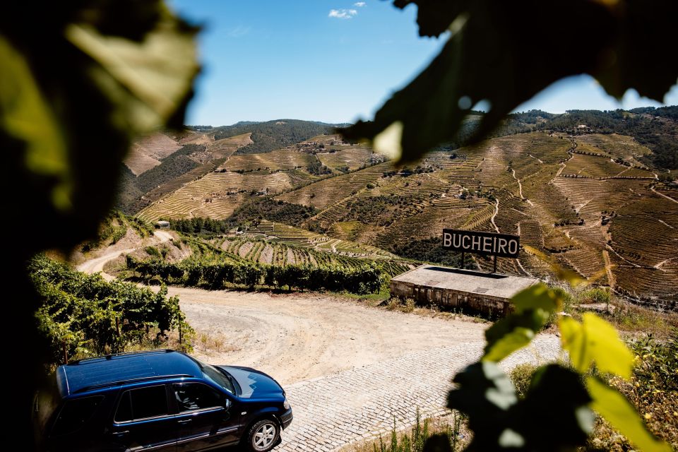 Porto: Private Douro Valley 4x4 Tour with Lunch - Should you book this Porto Douro 4x4 and lunch tour?