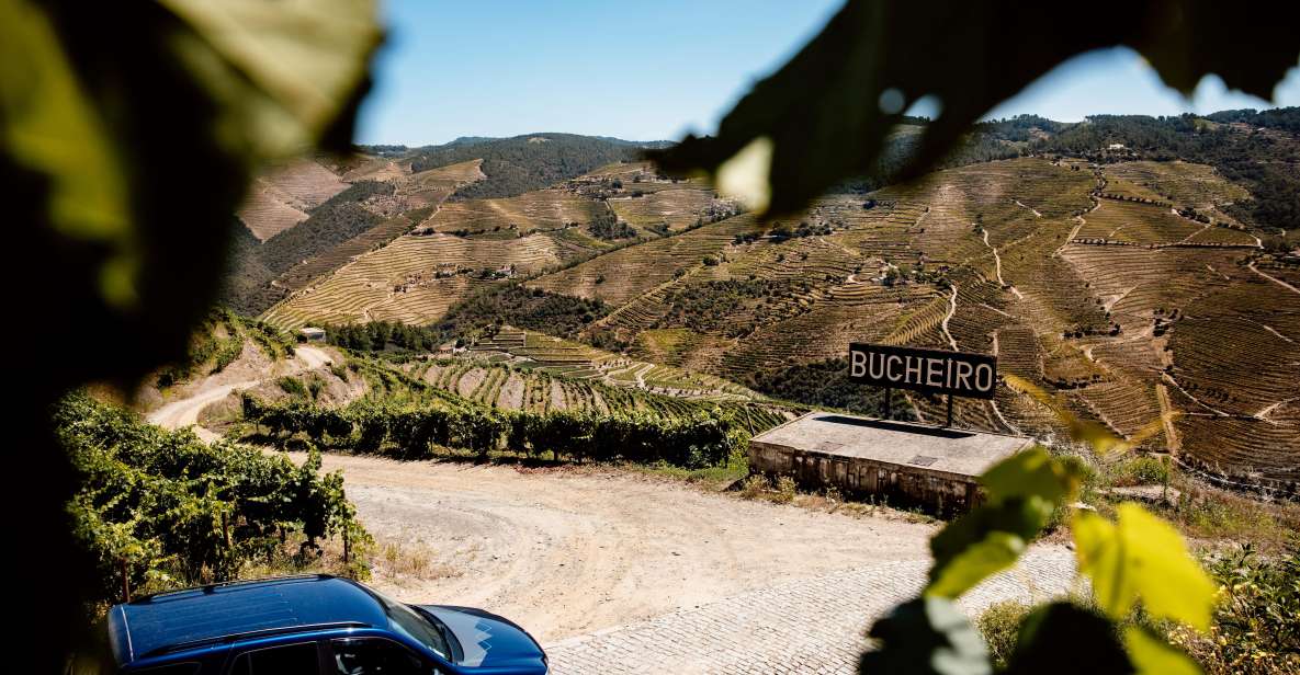 Porto: Private Douro Valley 4x4 Tour with Lunch - Jeep/SUV trails and 4x4 off-road time for real Douro views
