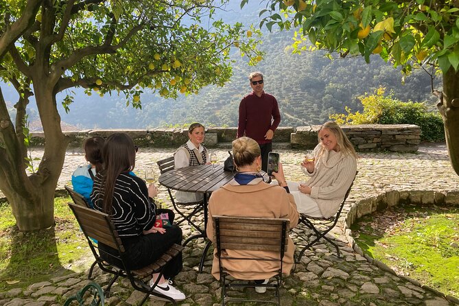 Porto: Private Douro Valley All Inclusive: Tastings, Lunch & Boat - Port Wine Tasting at a Small Quinta: Views Are Part of the Deal