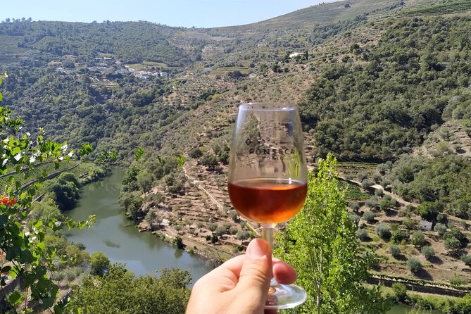 Porto: Private Douro Valley All Inclusive: Tastings, Lunch & Boat - Pinhão River Cruise on a Small Boat: The Best Angle on the Douro