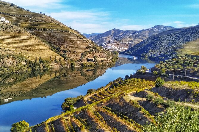 Porto: Private Douro Valley All Inclusive: Tastings, Lunch & Boat - Sabrosa Lunch at a Country House: Home Cooking With Real Wine Pairing