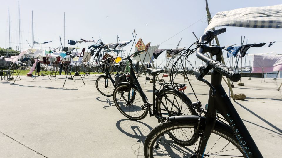 Porto Private E-Bike Tour: Douro River, Parks & Beaches - Finishing stops: reservatório, Jardim do Cálem, and the return to BICLAS & TRICLAS