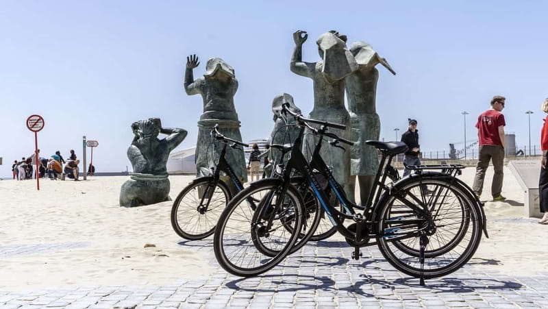 Porto Private E-Bike Tour: Douro River, Parks & Beaches - Back through parks and city spots: Parque da Cidade and Pasteleira