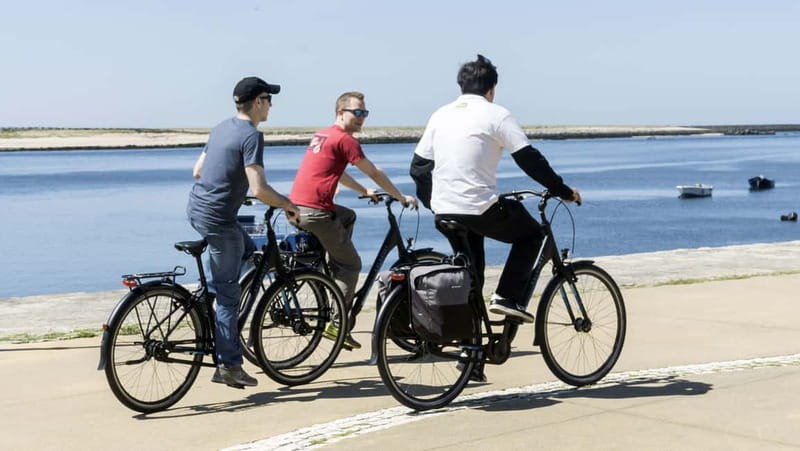 Porto Private E-Bike Tour: Douro River, Parks & Beaches - Price and value: what $67 buys you in Porto
