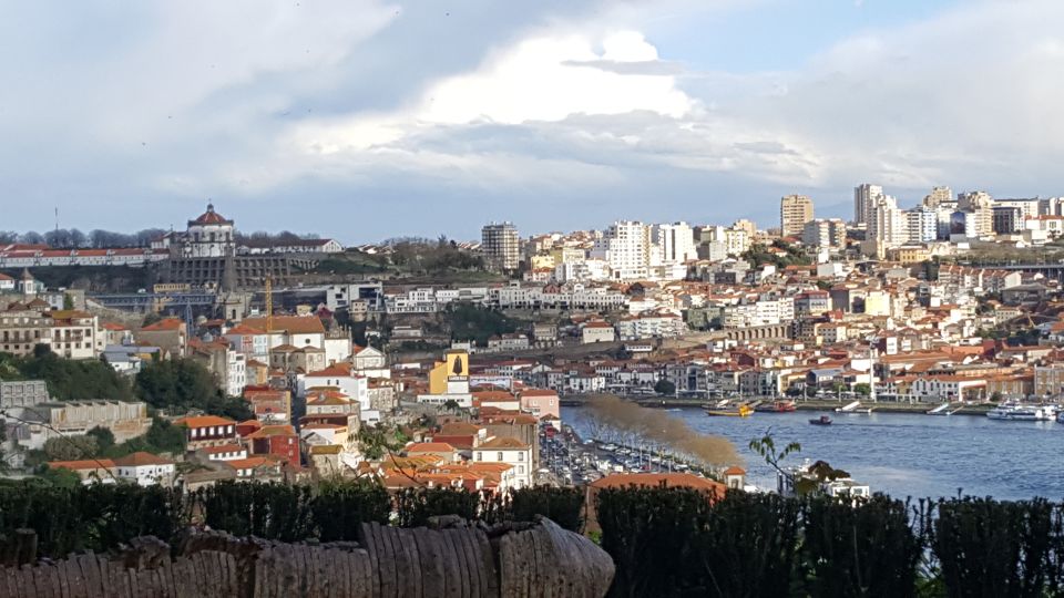 Porto: Private Half-Day as a Local Experience - Ribeira and the port cellar: learning the taste of Porto