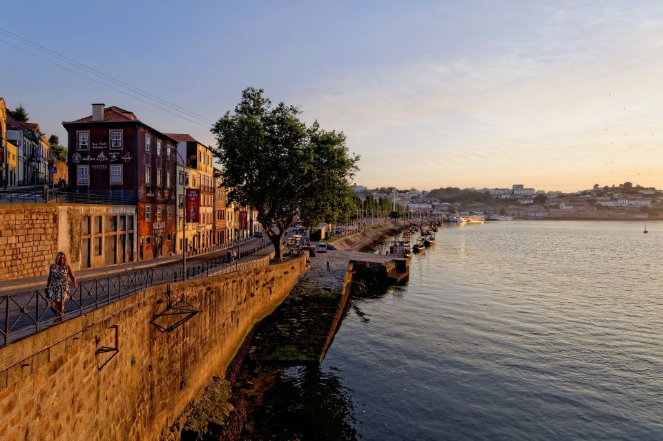 Porto Private Half Day Walking Tour: Cruise & Wine Tasting - Port wine cellar tasting in Vila Nova de Gaia: what the stop is really teaching
