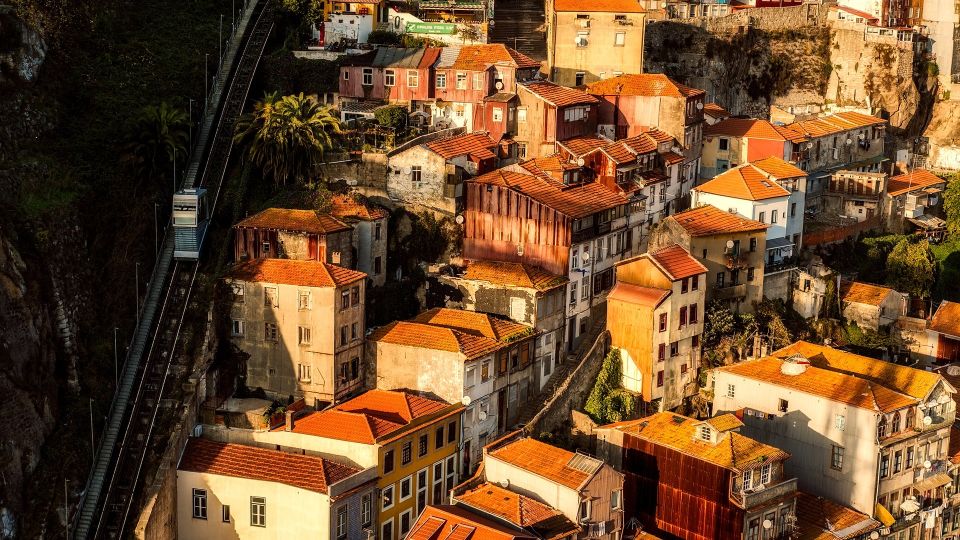 Porto Private Half Day Walking Tour: Cruise & Wine Tasting - Walking Porto’s iconic, photographed center with a guide